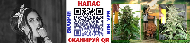 Где найти наркотики Северск ГАШ МАРИХУАНА KRAKEN вход Меф мяу мяу КОКАИН Псилоцибиновые грибы