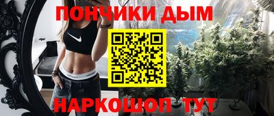 индика Обнинск