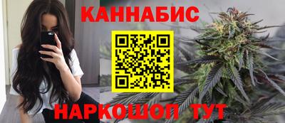индика Обнинск