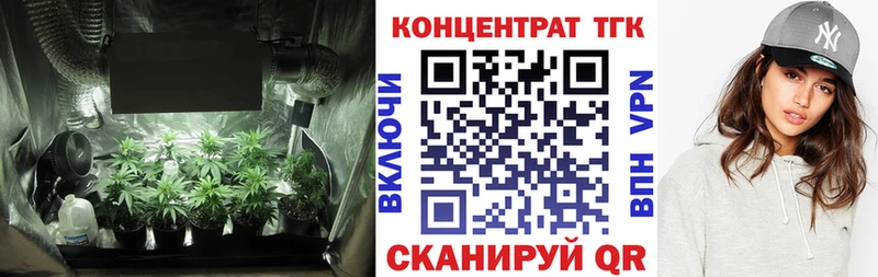 закладка  Северск  ТГК THC oil 