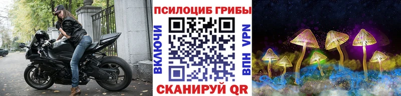 наркотики нарко площадка формула Галлюциногенные грибы Cubensis Северск