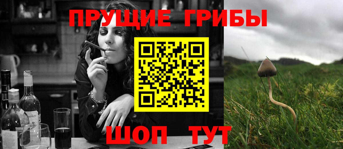 Северск  Галлюциногенные грибы мицелий  сколько стоит  Вход с VPN 